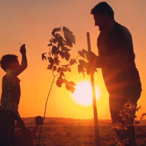 Megalabs, Visi&oacute;n Global