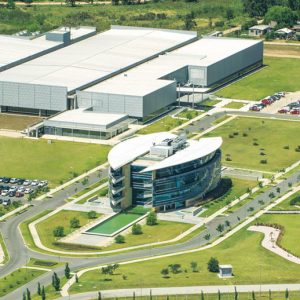 Megalabs, Visi&oacute;n Global